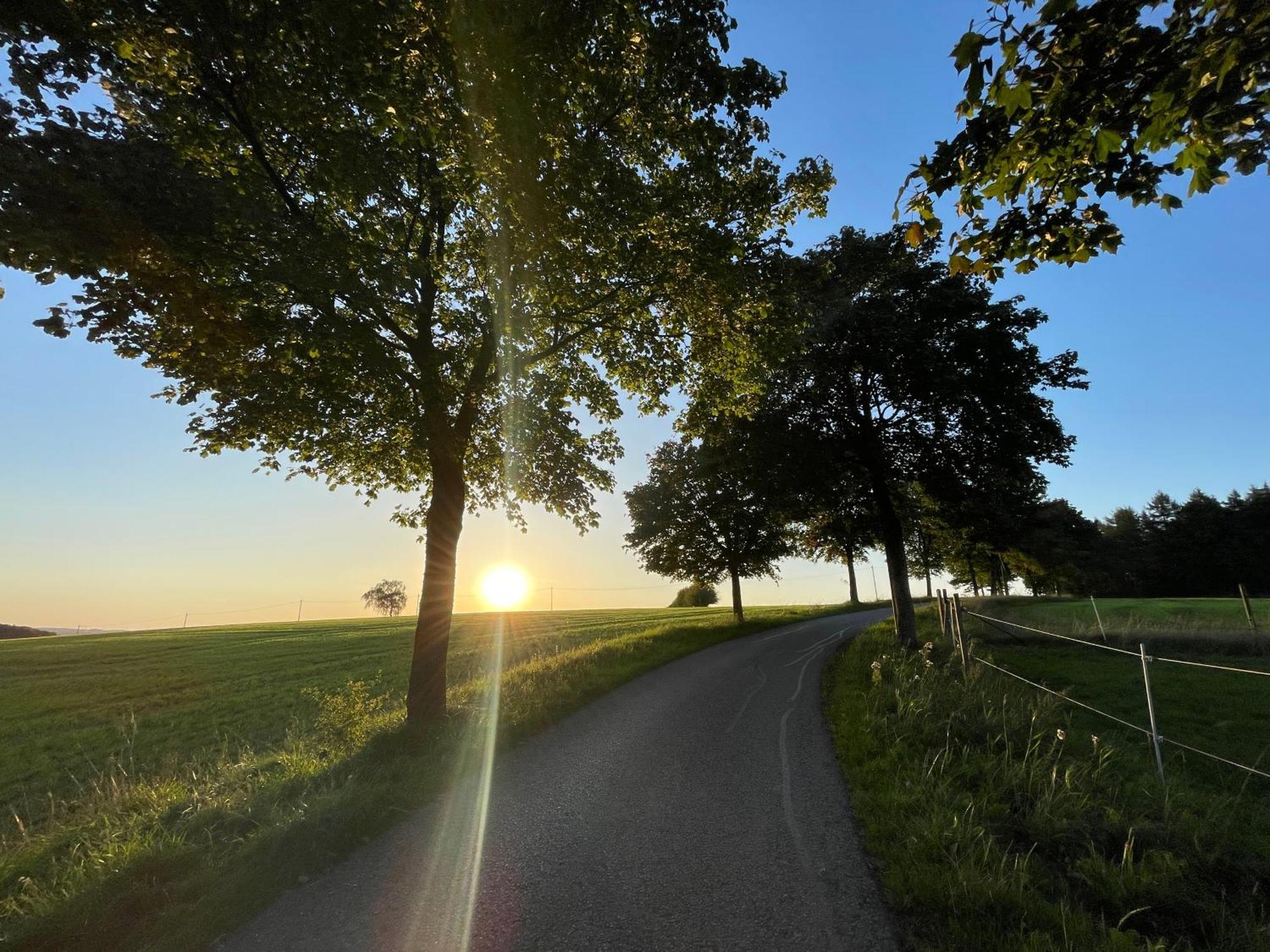 Auszeit Altenhorst, Gartenferienwohnung Schalksmuhle Eksteriør bilde